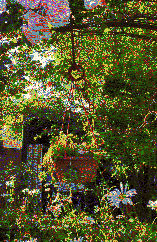 la bellezza della natura